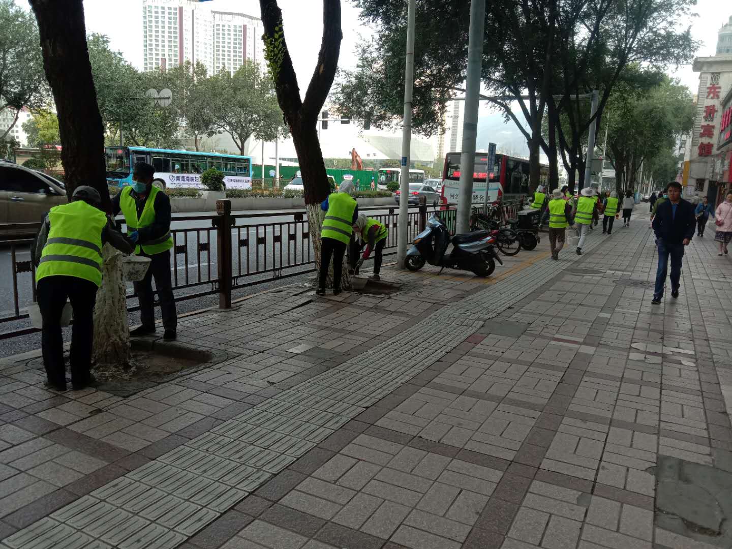 城中区市政公用服务中心开展秋季树木涂白工作