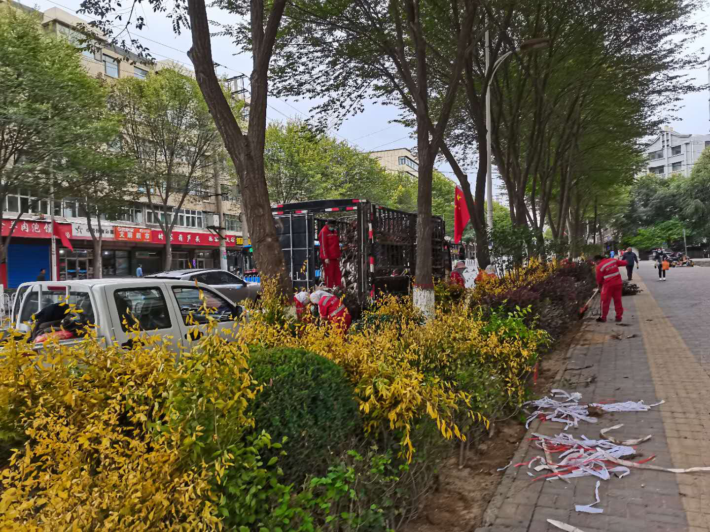 城中区全面开展城区秋季补植补种