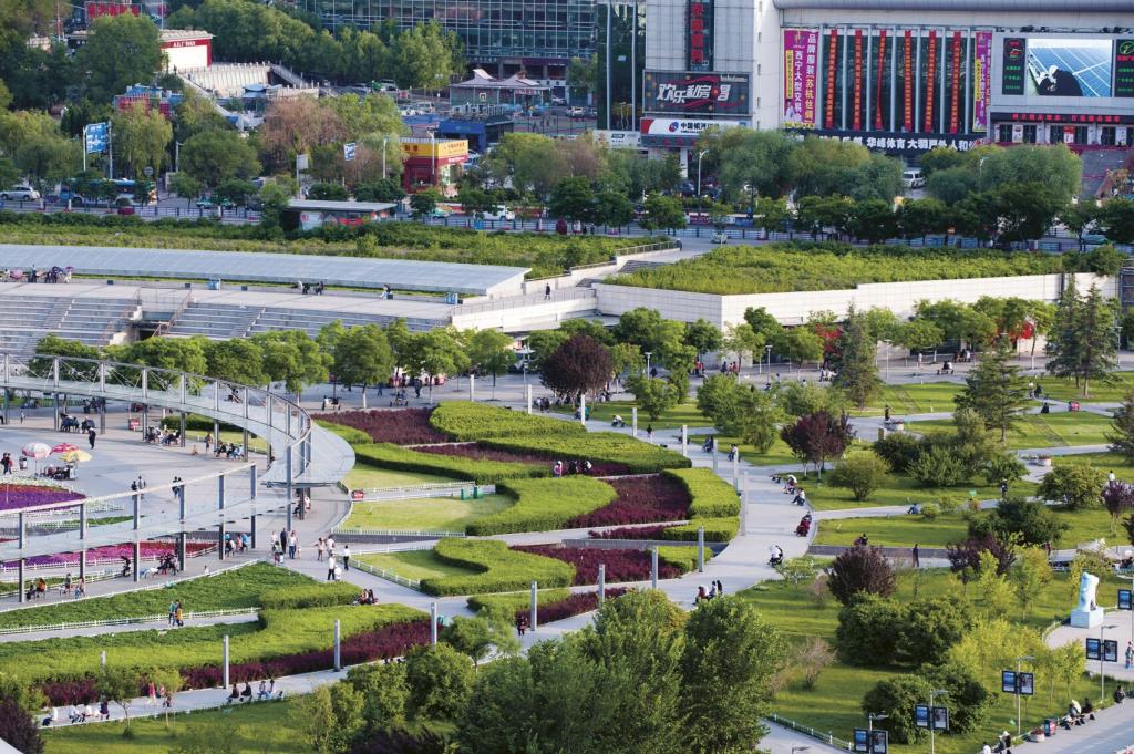 中心广场一-青海省西宁市城中区政府网